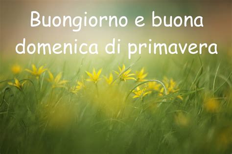 Buona Domenica Primaverile Frasi Buongiorno Per Domenica Primavera