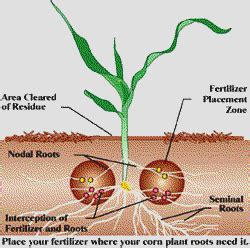 Agricultural Views: Methods of Potassium Fertilizer Application