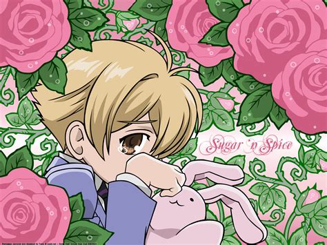 Honey Ouran High School Host Club Wallpaper 4062713 Fanpop