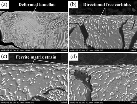 SEM Micrograph Showing Subsurface Deformation For A AR 6kg B 5D