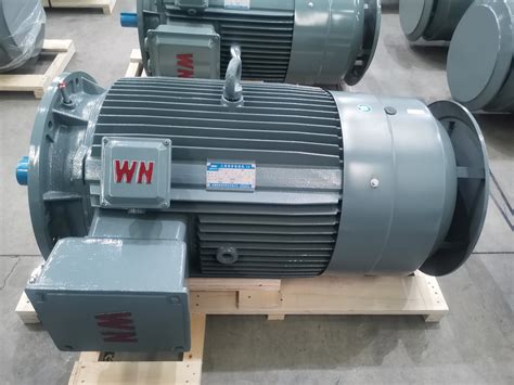 Three Phase Asynchronous Motor Xuancheng Wannan Motor Factory China