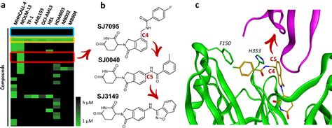 Molecular Super Glue Shows Promise Of Cancer Drug Discovery Platform