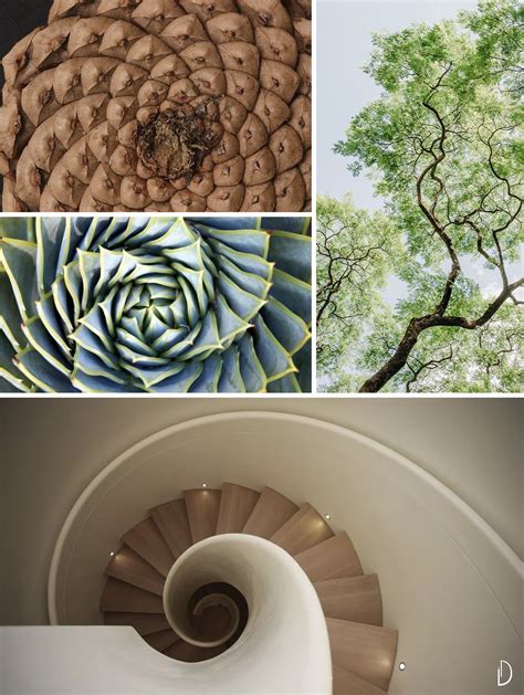 Biophilic Sustainable Interior Design Biophilic Moodboards