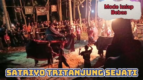 Ritual Kalapan Bantengan Satriyo Tritanjung Sejati Live Malangsuko