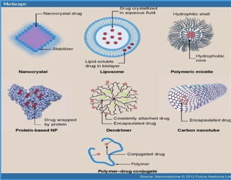 Nanoparticles Flashcards Quizlet