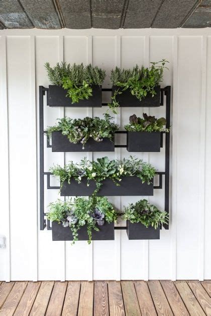 Wall Mounted Planter Boxes In 2020 Herb Garden Wall Garden Wall Designs Small Herb Gardens