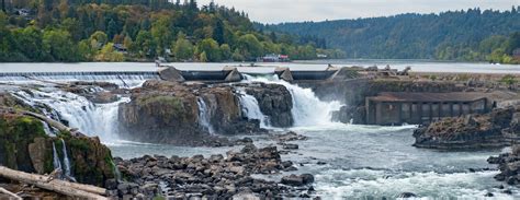 Swimming Pool | Oregon City, OR