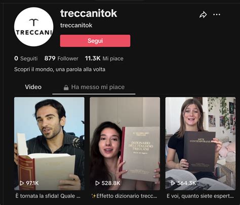 TikTok E Treccani Insieme Per La Cultura Sul Social Dei Giovanissimi