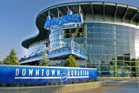 Downtown Aquarium, Denver, Denver - Book Tickets & Tours | GetYourGuide