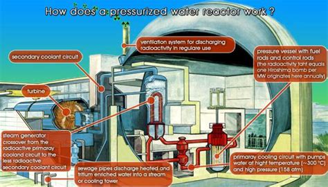 Nuclear Reactor - Nuclear Power: Function and Risks - Pressurized Water ...