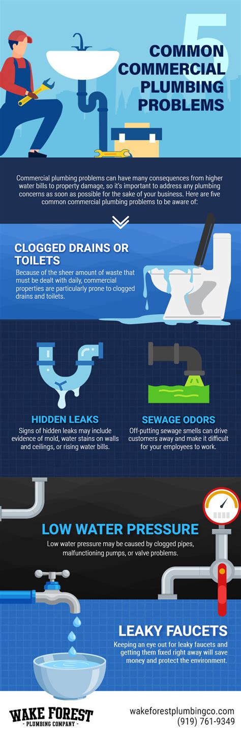 5 Common Commercial Plumbing Problems [infographic] Wake Forest Plumbing Company