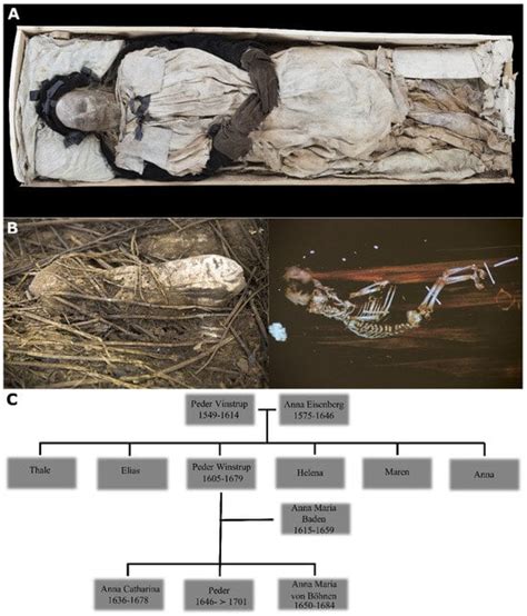 Heritage Free Full Text Related In Death Further Insights On The