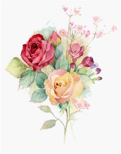 Watercolour Flowers Watercolor Painting Rose Art Vector Watercolor