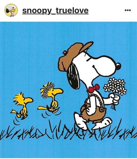 Pin By Ida Franco On Snoopy Charlie Brown And Snoopy Snoopy Love