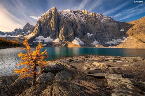 Trees Lake Moraine Alberta Canada Banff National Park Mountains