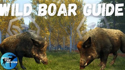 Hirschfelden Wild Boar Guide Plus My First Two Diamond Wild Boar