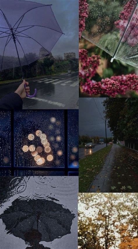 Pin by Lissette Otero on ㅇㅁㄱㅏㅑㅜㅎ in 2024 Rainy day aesthetic Rainy