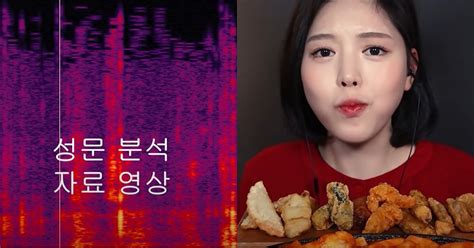 “먹방 중 혼자 아니야 소리에 대한 분석 결과가 나왔는데” 위키트리