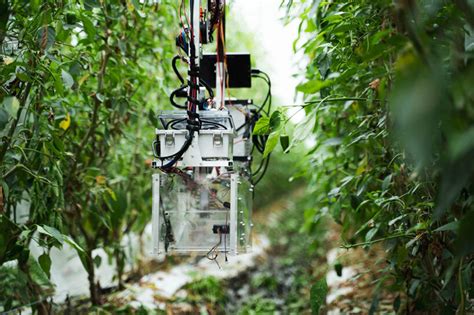 automatic harvesting robot seeks to solve japan's labor shortage problem