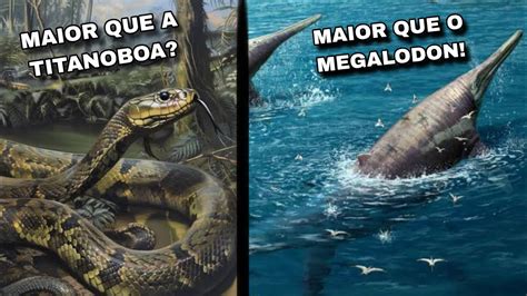 Nova Cobra Maior Que A Titanoboa E Novo Maior R Ptil Marinho Que