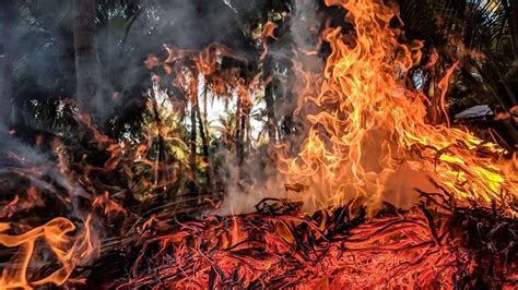 4 Arti Mimpi Melihat Kebakaran Dengan Makna Baik Selamat Ada Kabar