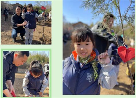 学雷锋 树新风—济南外国语开元国际分校21级1班雷锋月及植树活动凤凰网山东凤凰网