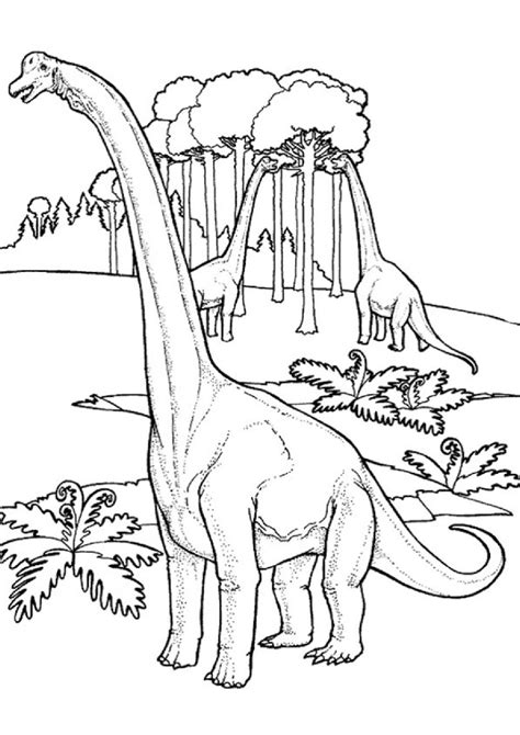 Coloriage Dinosaure Imprimer Gratuitement Moncoloriage Fr