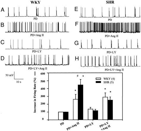 Effect Of Phosphatidylinositol 3 Kinase Pi3 Kinase Inhibitors On The