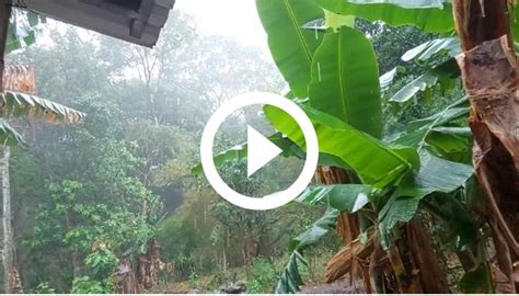 Video Lluvias En Diferentes Puntos Del Pa S De Abril De