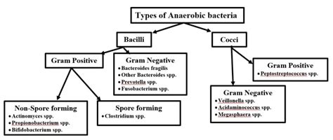 Figure 2 Types Of Anaerobic Bacteria Endotext Ncbi Bookshelf