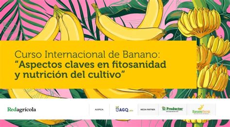 Seminario web de Banano Aspectos claves en fitosanidad y nutrición del