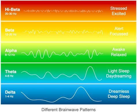 Discover Neurofeedback Neuroknowledge