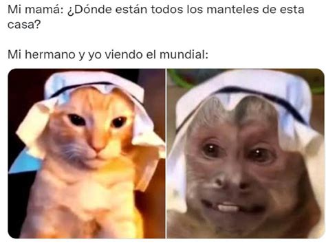 Los Mejores Memes Del Inicio Del Mundial De Qatar