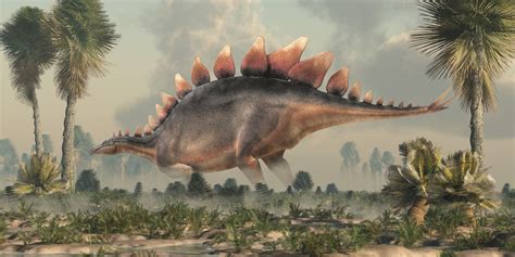 Stegosaurus Dinosaur Real