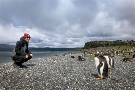 How to Visit Ushuaia in 3 Days: Best Hiking and the Penguins Tour