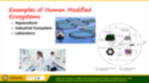 Solution Human Modified Ecosystems Studypool