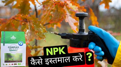 NPK 19 19 19 Fertilizer For Plants How Why When To Use YouTube