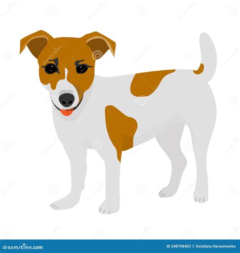 Cute Jack Russell Terrier Dog Character Mascot Vector Illustration