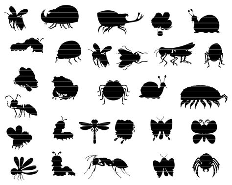 The Silhouettes Of Bugs And Insects