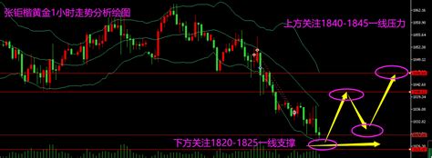 张钜楷：1231张钜楷团队免费帮助大家布局黄金原油等贵金属产品（后市怎么布局操作呢）免费交流学习，免费解多空单汇金网