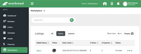 New Rabbit Marketplace Updates Fixed Bugs And More Everbreed