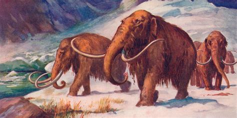 Ice Age - Definition & Timeline