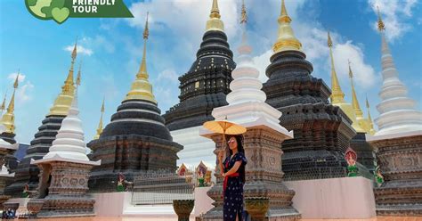 Visite du sanctuaire des éléphants de Chiang Mai et de la cascade