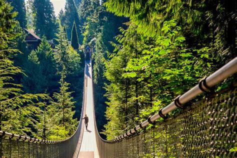 Tagesausflüge von Totempfähle im Stanley Park Vancouver GetYourGuide