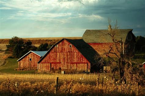 Farm life Photograph by Roger Look | Fine Art America