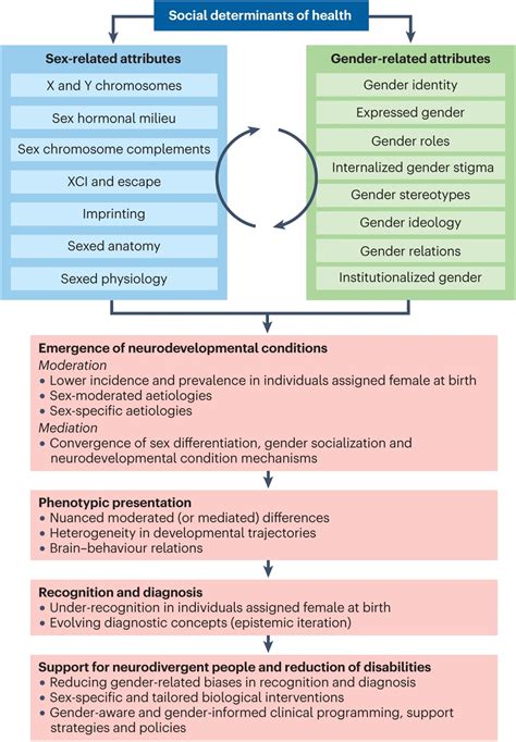 Sex And Gender In Neurodevelopmental Conditions Abstract Europe Pmc