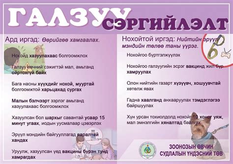 Галзуу өвчтэй амьтанд хазуулахаас сэргийлээрэй