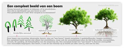 Hoe Heet De Schors Van Een Boom