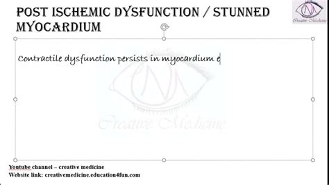 Lec 23 Stunned Myocardium Cardiology Youtube