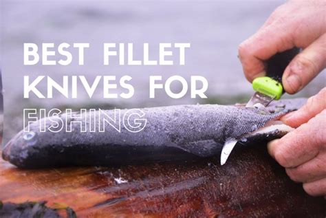 Best Fillet Knives For Fishing Reviews Buying Guide